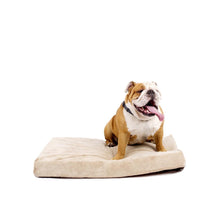 Load image into Gallery viewer, 4-inch thick Memory Foam Orthopedic Medium size Dog Bed