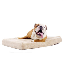 Load image into Gallery viewer, 4-inch thick Memory Foam Orthopedic Medium size Dog Bed