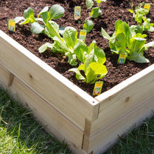 Load image into Gallery viewer, Cedar Wood 6-Ft x 3-Ft Raised Garden Bed Planter Box Frame - Made in USA