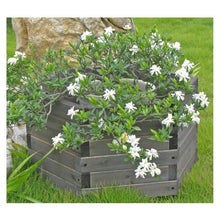 Load image into Gallery viewer, Small 16 x 16 x 7-inch Hexagon Fir Wood Garden Planter Box