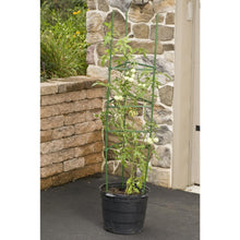 Load image into Gallery viewer, 3-Pack of Tomato Plant Cage Climbing Fruit Veggie Garden Trellis