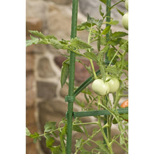 Load image into Gallery viewer, 3-Pack of Tomato Plant Cage Climbing Fruit Veggie Garden Trellis
