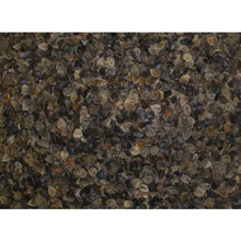 Load image into Gallery viewer, Japanese size 14 x 20 inch Organic Buckwheat Pillow