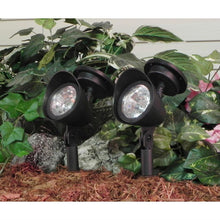 Load image into Gallery viewer, 8 Pack - Solar Powered Outdoor LED Spot Light in Black