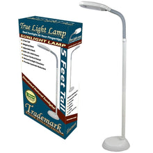 Load image into Gallery viewer, 5-Foot Contemporary Floor Lamp with Energy Efficient Light Bulb